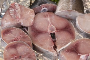 slices of tuna fish