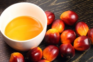 Oil palm fruit and cooking oil