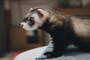 aaaaa