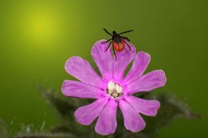 aaaa